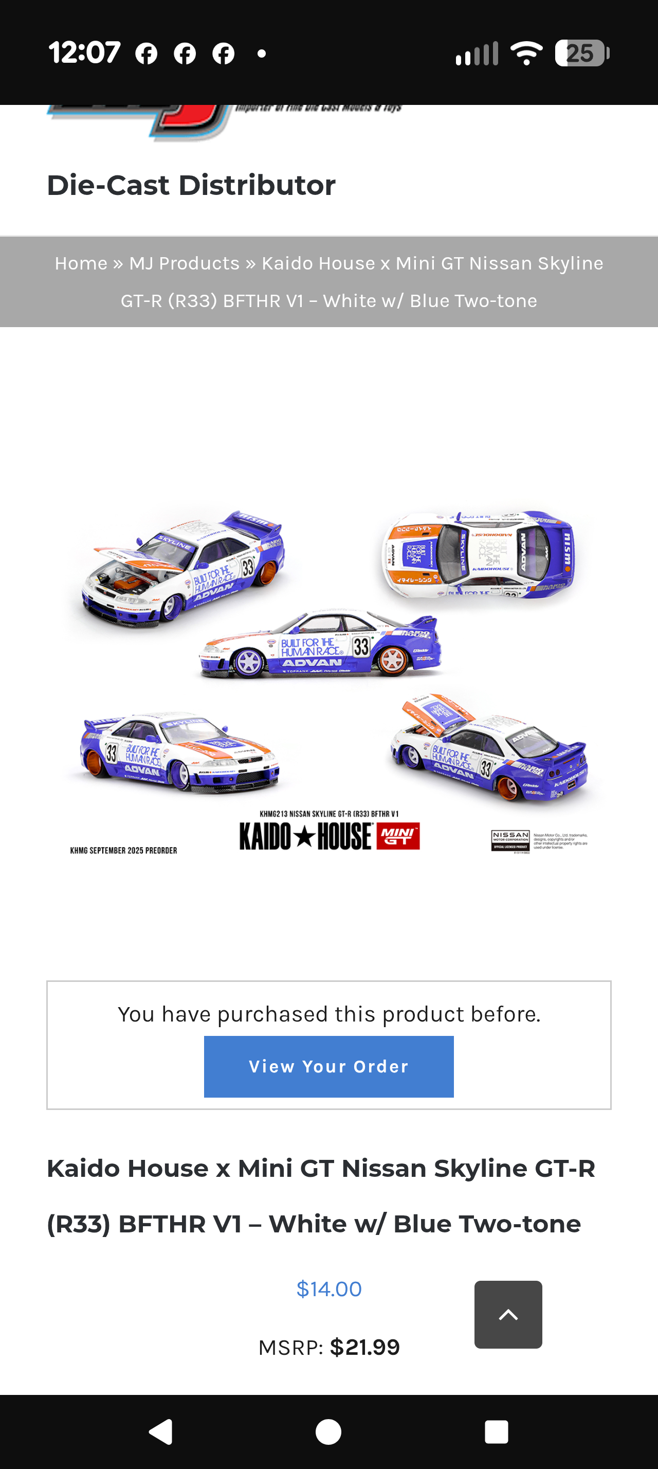 CHASE Kaido House Nissan Skyline GT-R (R33) BFTHR V1 - RAW Metal
